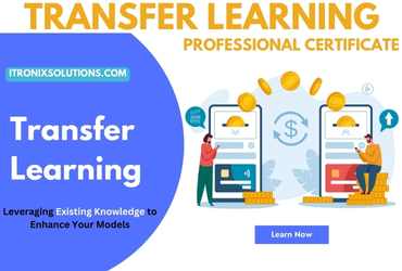 transfer learning professional certificate